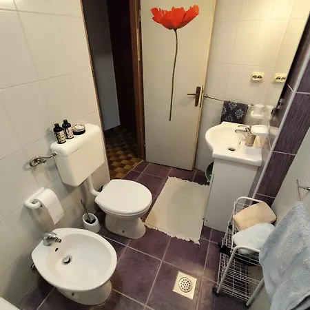Casa Tatiana Mare アパート *